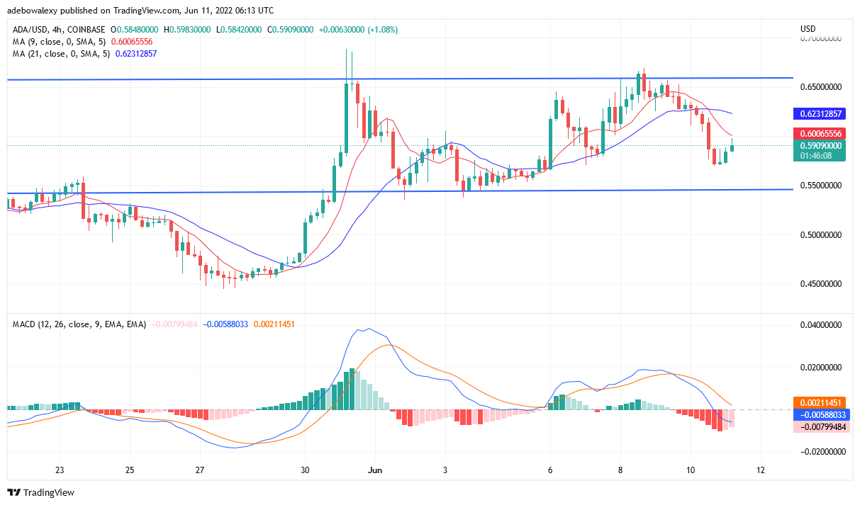 Cardano Price Prediction for June for June 11: ADA/USD Appears to Be Bearish