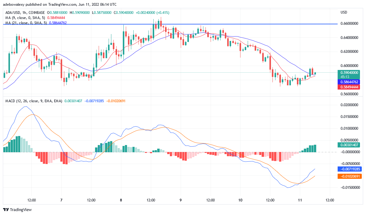 Binance Price Prediction for June 11: BNB/USD is Ranging Under $300 Price Level