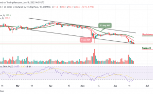 Binance Price Prediction