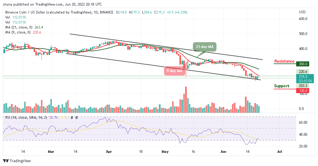 Binance Coin Price Prediction