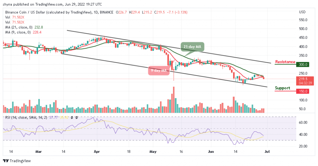 Binance Coin Price Prediction For Today, June 29: BNB Slumps Below $215 ...