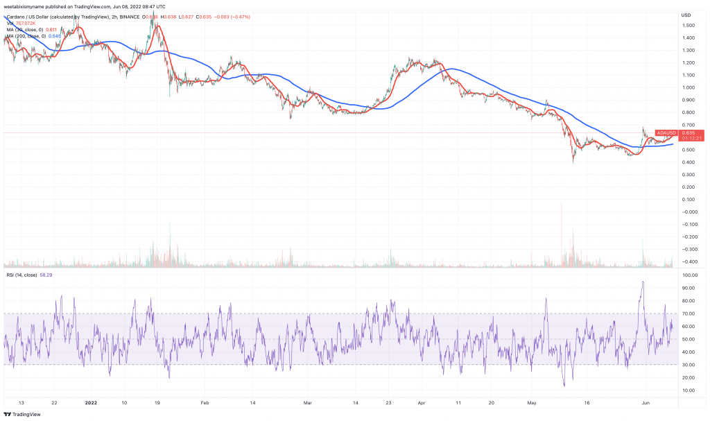 Cardano (ADA) price chart - 5 Next Cryptocurrency to Explode.