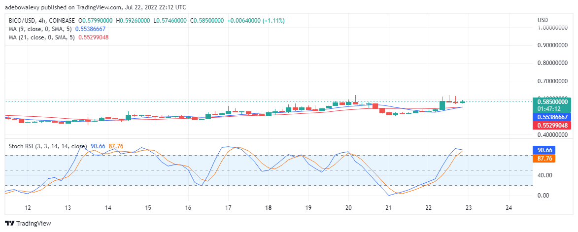 23 月 XNUMX 日 BICO/USD 价值预测：BICO 看涨但似乎脆弱