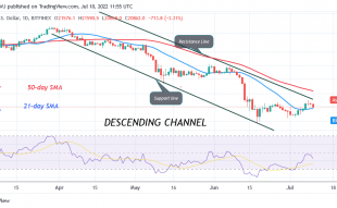 Bitcoin Price Prediction for Today July 10: BTC Price Slumps as It Faces Stiff Resistance at $22.4K