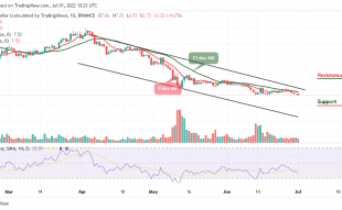 Polkadot Price Prediction