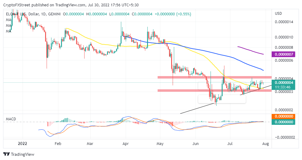 ELON/USD