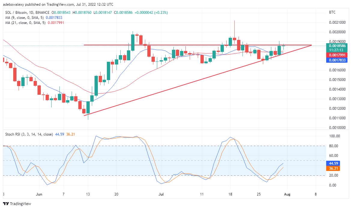 Solana Coin Värdeprognos för 1 augusti: SOL Market visar minimala vinster