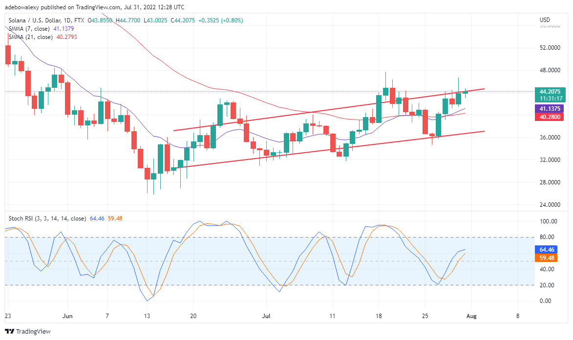 Previsão do valor da moeda Solana para 1º de agosto: o mercado SOL está exibindo ganhos mínimos