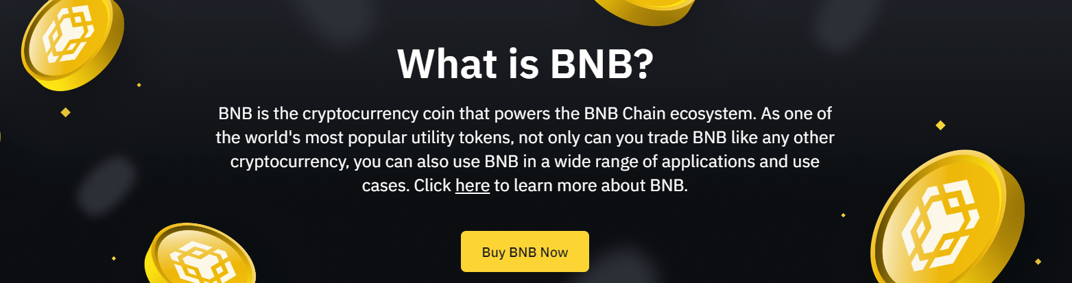 Should I buy BNB