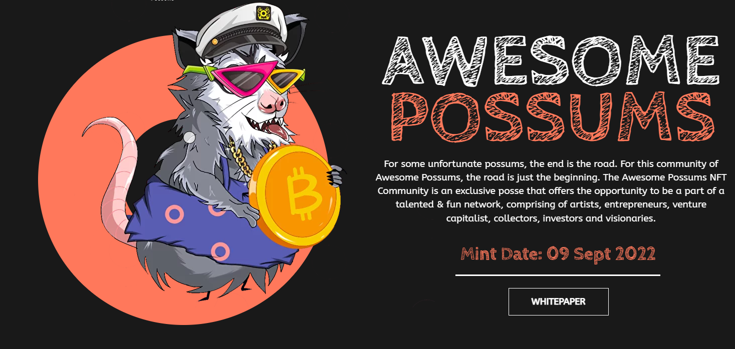 Buy Awesome Possums