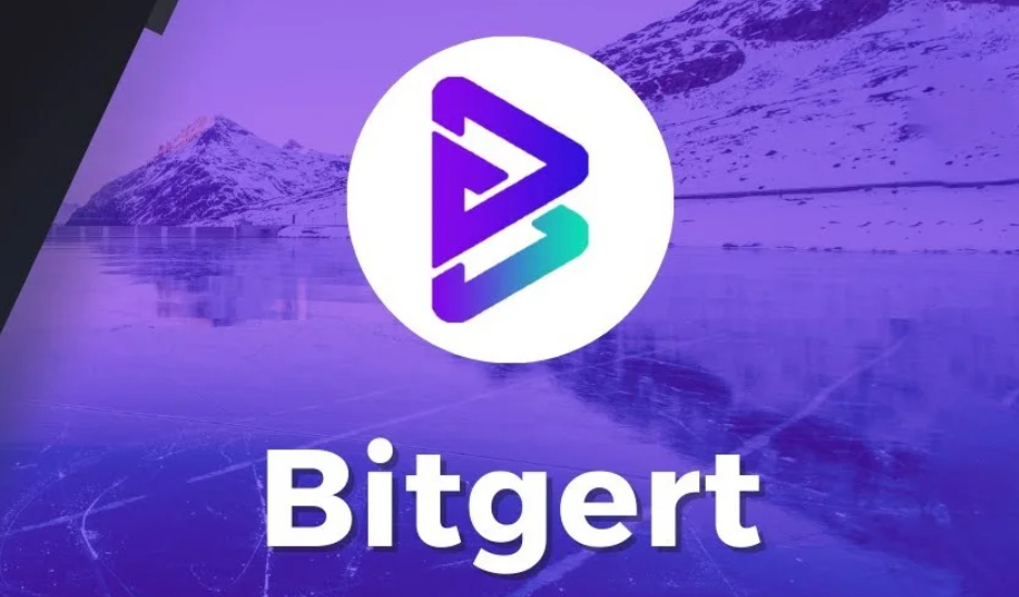 我應該買Bitgert嗎