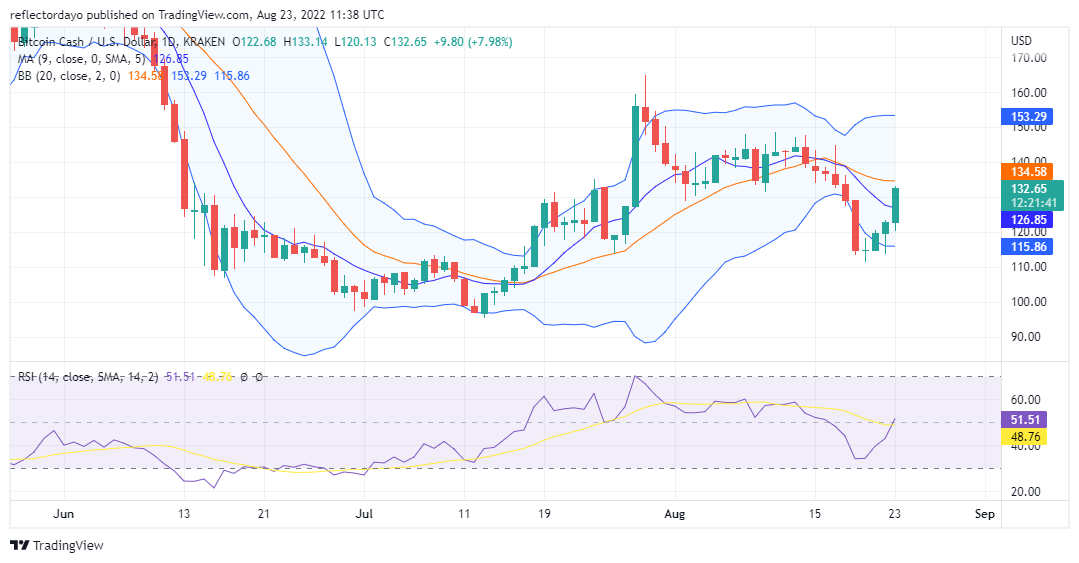 Previsão do preço à vista do Bitcoin para 22 de agosto: BCH/USD pode estar iniciando uma tendência de alta