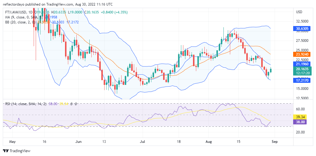 Avalanche Price Analysis for 30th of August: AVAX/USD May Be at the Beginning of an Upswing