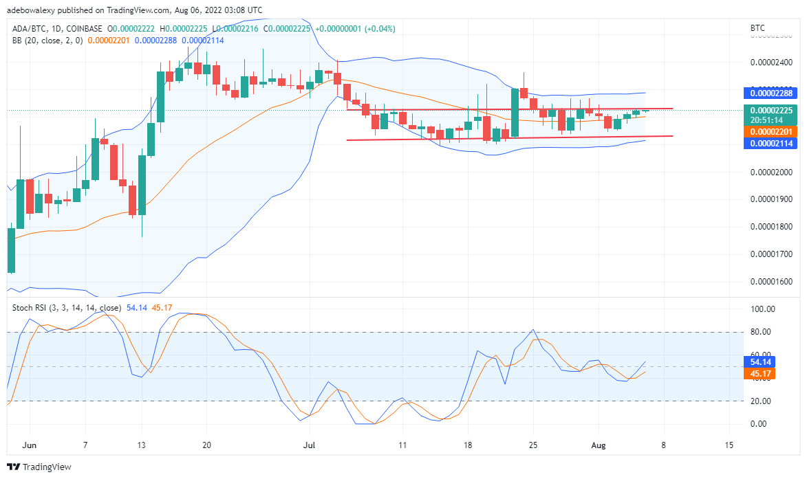 Predicción del valor de la moneda de Cardano para el 6 de agosto: ADA mantiene su optimismo