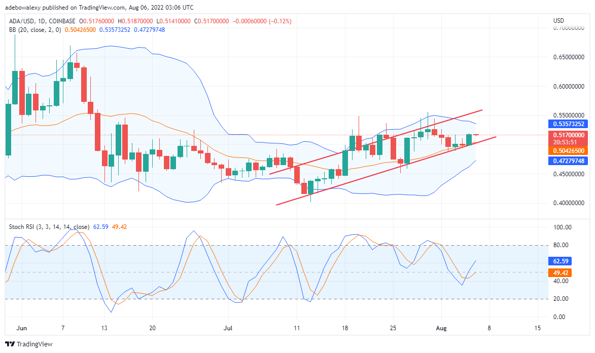 Previsão do valor da moeda Cardano para 6 de agosto: ADA mantém sua alta