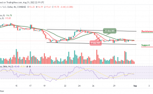 BCH May Shoot Above $116 as Tamadoge Heads to the North