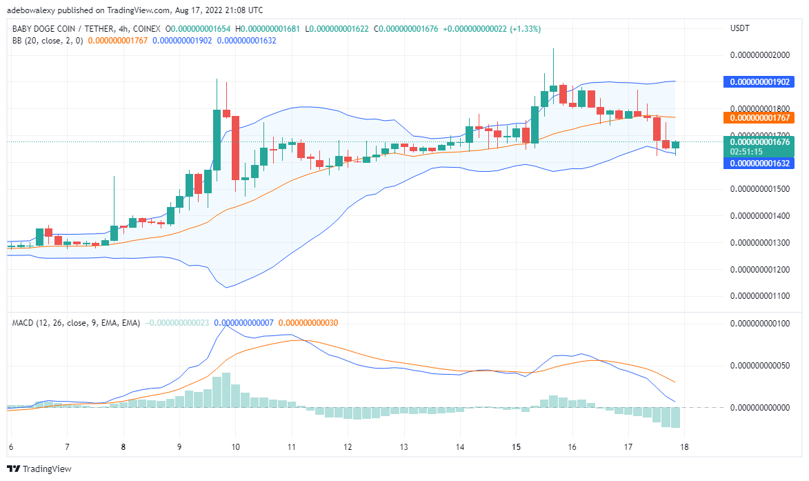 BabyDoge Is Bearish, Tamadoge Will Retrace Higher Level