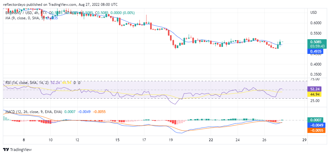 Biconomy Price Prediction for 27th of August: BICO/USD May Be at the End of the Trend