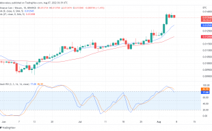 Binance Coin Value Prediction for 6th of August: BNB Prepares to Downtrend