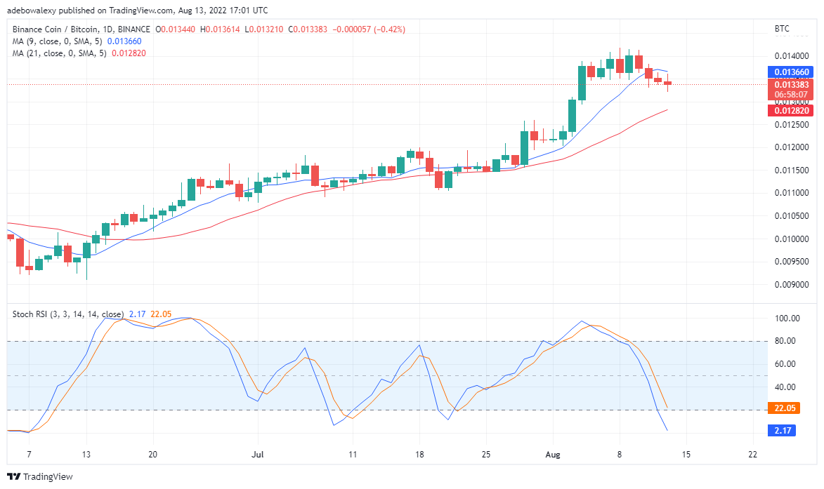 BNB/USD Price Analysis for 14th of August:  Binance Coin Bulls Portraying Signs of Weakness