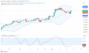 Binance Coin at  Verge of an Uptrend; as Tamadoge Prepares a Bullish Market