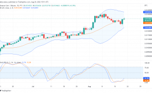 Binance Coin at  Verge of an Uptrend; as Tamadoge Prepares a Bullish Market