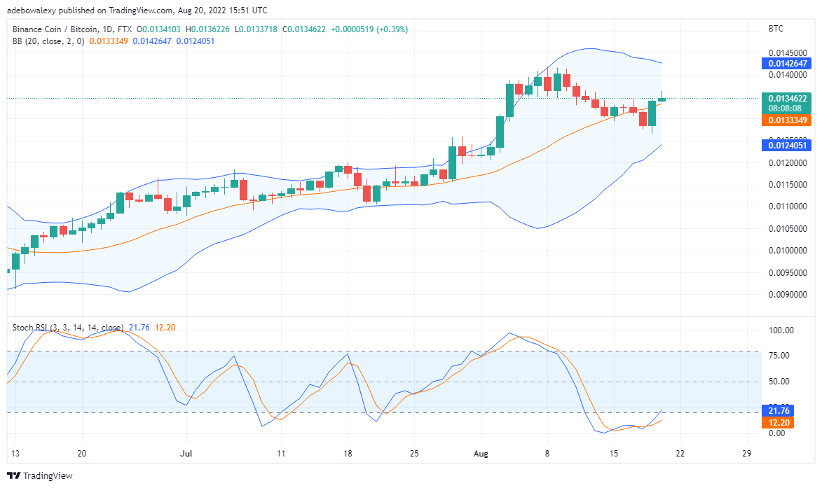 Binance Coin на мяжы ўзыходзячага трэнду; калі Tamadoge рыхтуе бычыны рынак