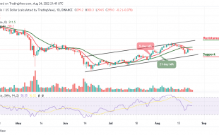 BNB Likely to Test Support at $290 as Tamadoge Goes Northward