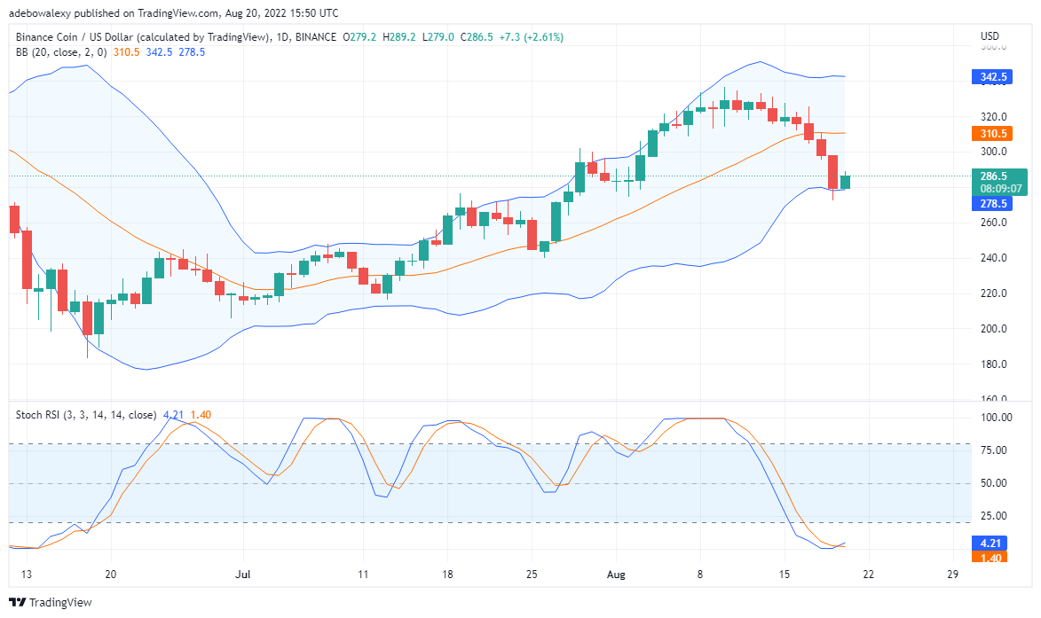 Binance Coin at  Verge of an Uptrend; as Tamadoge Prepares a Bullish Market