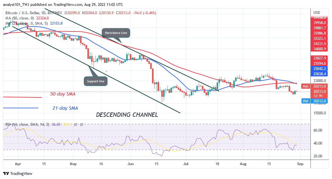 Bitcoin Price Prediction for Today August 29: BTC Price Recovers as It Struggles Below the $20.6K High