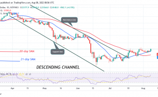Bitcoin Price Prediction for Today August 8: BTC Price Suffers a Setback as It Faces Rejection at $24.2K