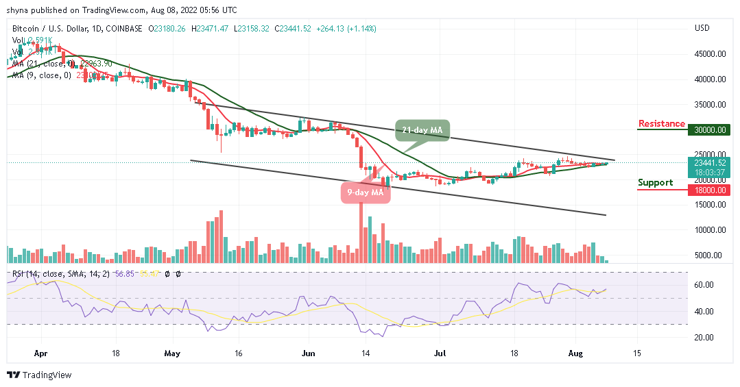 Bitcoin Price Prediction for Today, August 8: BTC Looks For A Direction; Will $24k Come to Focus?