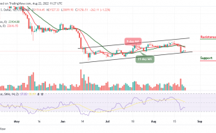 BTC Plummets Under $21,500 as Tamadoge Goes Bullish