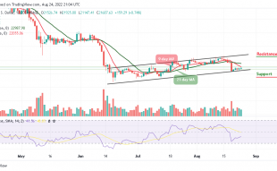 BTC Retreats After Trading Near $22,000 Level; Buy Tamadoge Now!
