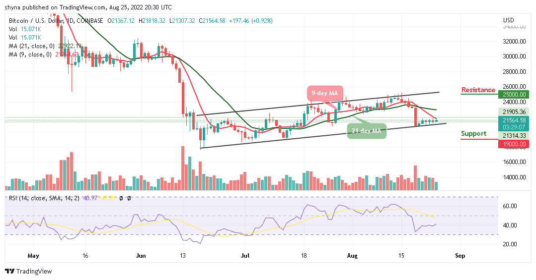 BTC Revives Back Above $40,000 as the Outlook on Tamadoge is Bullish