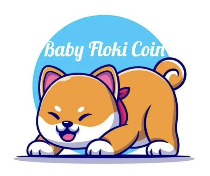 Baby FLoki
