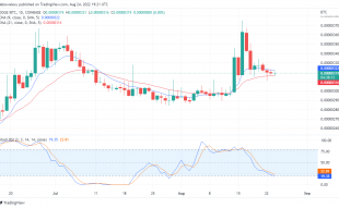 DOGE May Be attempting a Reversal, But TAMA is the Real Game changer