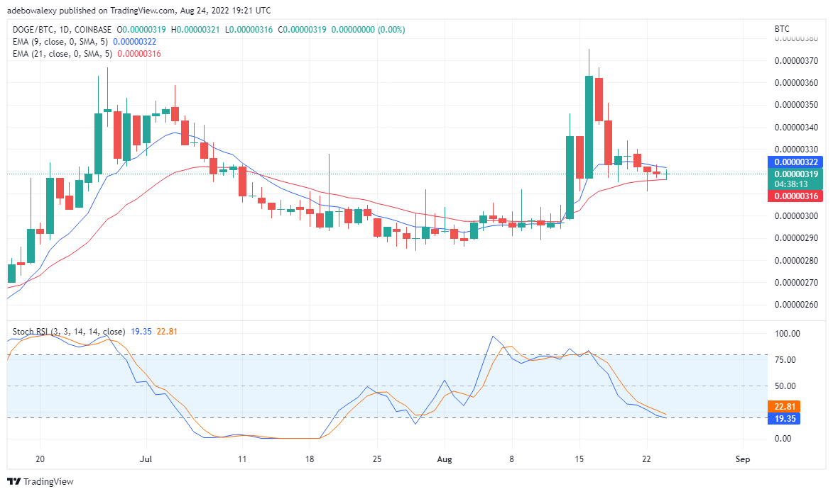 DOGE May Be attempting a Reversal, But TAMA is the Real Game changer