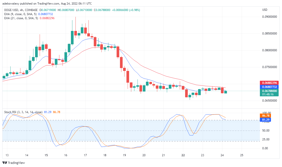 Dogecoin May Stay Down for a Longer Time, Buy Tamadoge Today