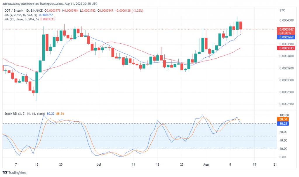 Polkadot Price Forecast for August 12th: DOT Is Preparing to Reverse Trend