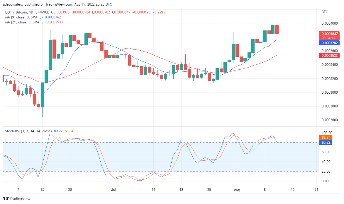 Polkadot (DOT) Is Preparing to Reverse Trend; Upbeat Outlook on Tamadoge (TAMA)