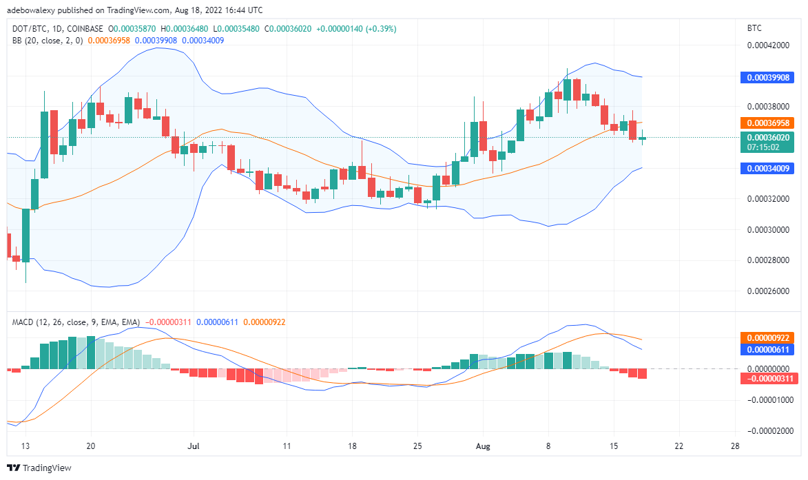 Polkadot Is Trying to Reverse Trend; while Tamadoge warms up to a Great Start