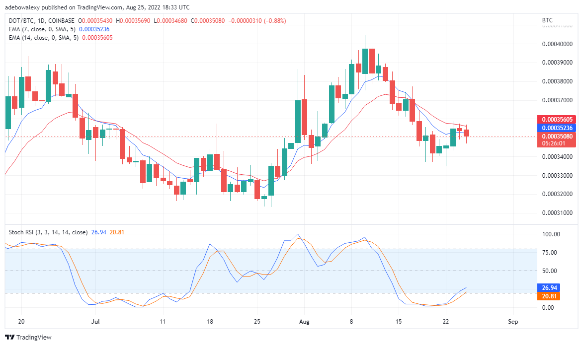 Polkadot 可能已經恢復下跌趨勢：Tamadoge 保持樂觀