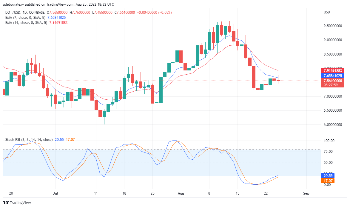 Polkadot 可能已經恢復下跌趨勢：Tamadoge 保持樂觀