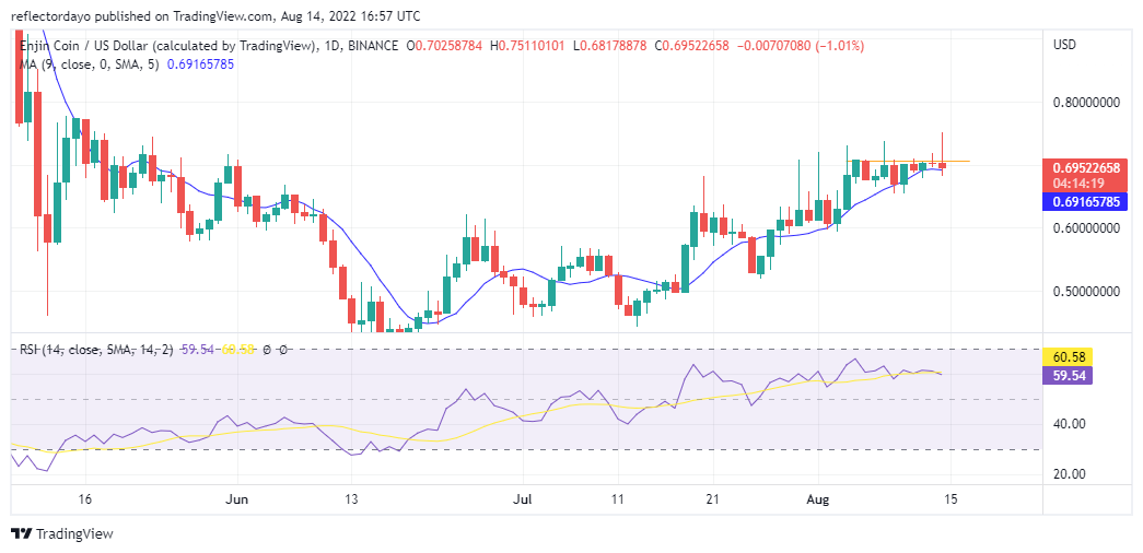 ENJ/USD Price Prediction for 14TH August: Enjin Made a 1.67% Rise in Value