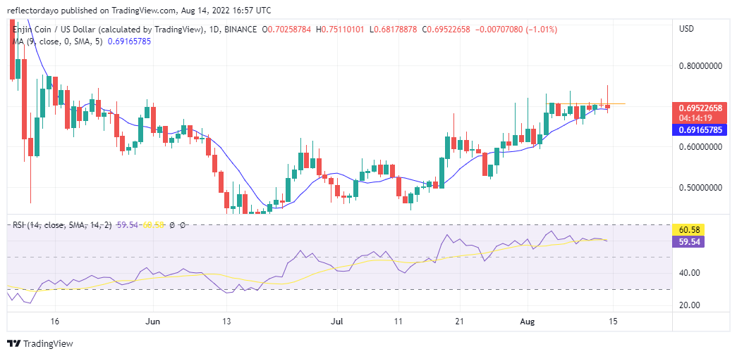 ENJ/USD cenas prognoze 14. augustam: Enjin vērtība pieauga par 1.67%.