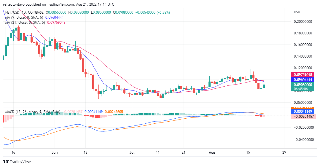 Fetch.ai Price Prediction For The 21st of August: FET/USD Weak Standoff