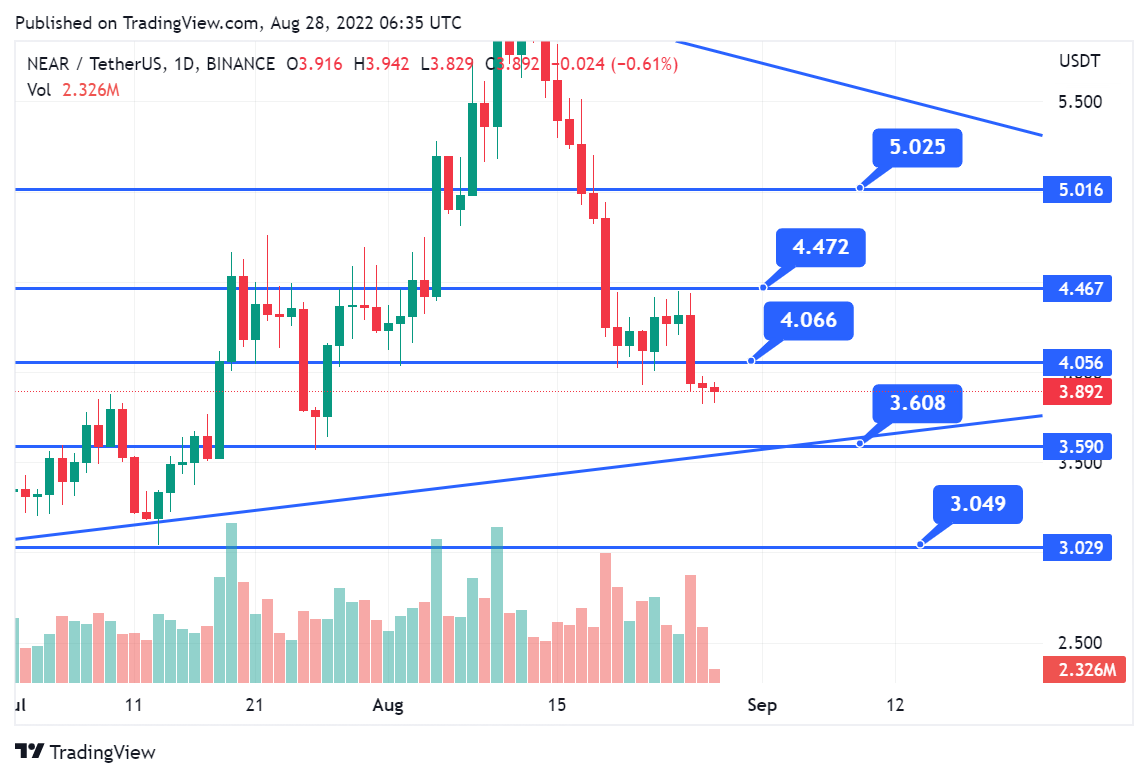 NEAR Protocol Drops 4.48 Sweatcoin Launch Ahead