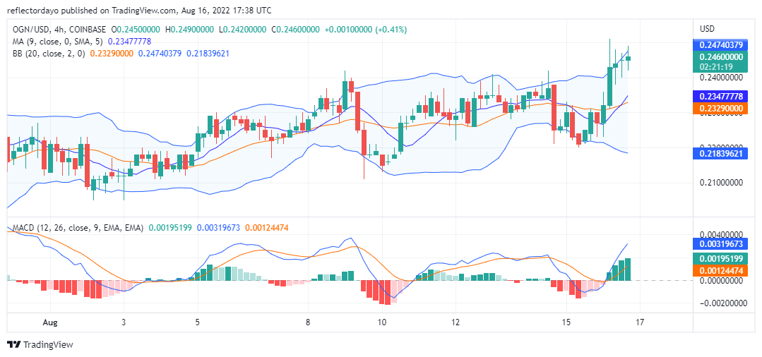 Origin Protocol Daily Price Prediction For The 16th of August: OGN/USD Bulls Takes The Market