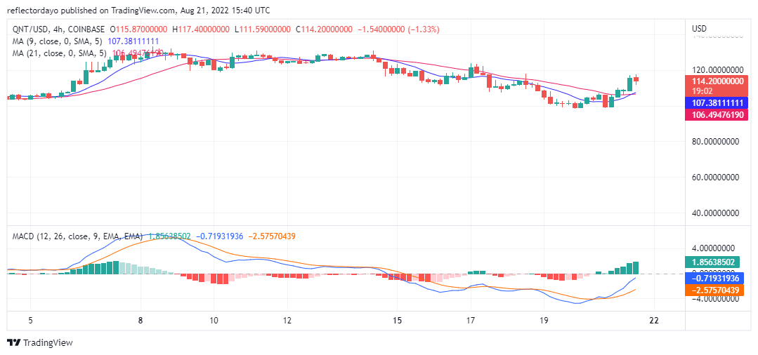 Quant Price Prediction For The 21st of August: Fair Profiting - QNT/USD Market